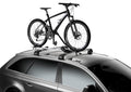 Thule 598 ProRide Silver