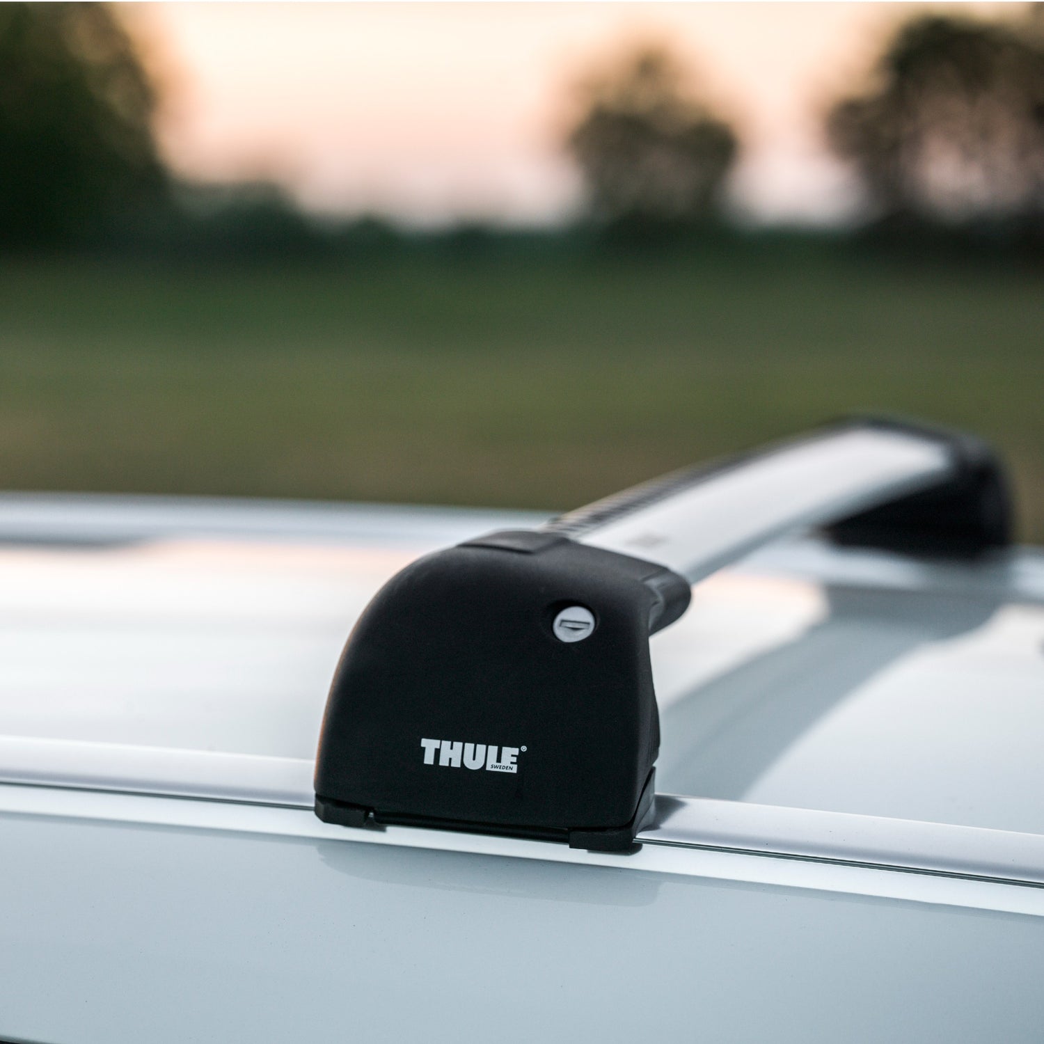 Thule Wingbar Edge Flush– Roof Rack Centre